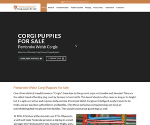 Stunningcorgipuppies.com(Pembroke Welsh Corgi Puppies For Sale) Screenshot