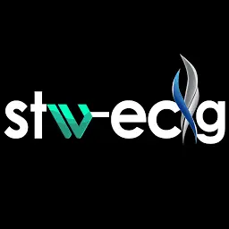 STW-Ecig.com Favicon