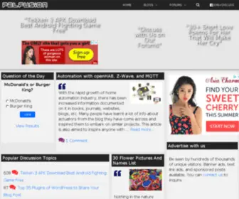 STylebizz.com(Css style sheet programming) Screenshot