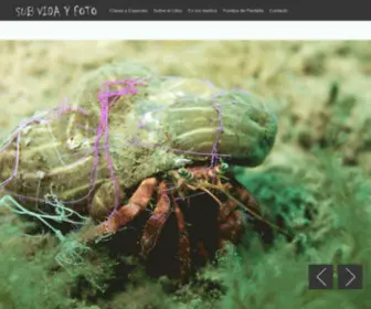 Sub-Vidayfoto.com(Sub Vida y Foto) Screenshot
