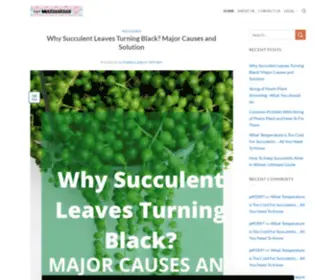 Succulentblogs.com(Succulent Blogs) Screenshot