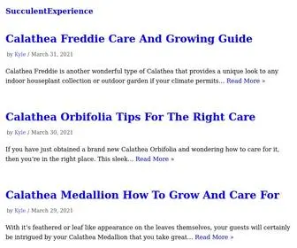 Succulentexperience.com(Succulentexperience) Screenshot