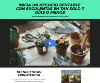 Suculentasmaster.com(Suculentas Master) Screenshot