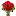 Sudecicek.com.tr Favicon