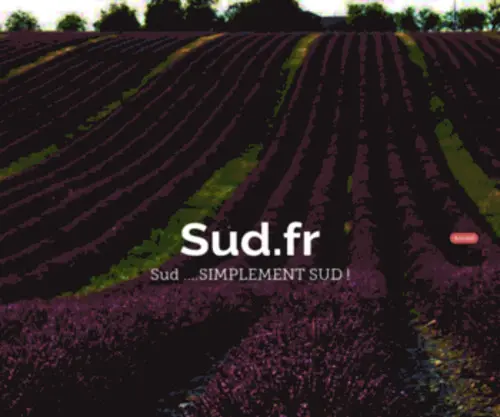 Sud.fr(Sud) Screenshot