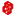 Sufdigital.com Favicon