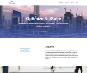 Suiterep.com(NetSuite Professionals) Screenshot