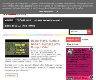 Suksesternakkambing.com(Peluang Usaha Bisnis Peternakan Kambing Domba) Screenshot