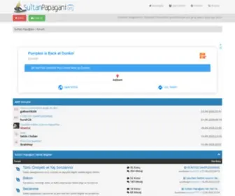 Sultanpapagani.org(Sultan Papağanı) Screenshot