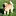 Summersgoldens.com Favicon