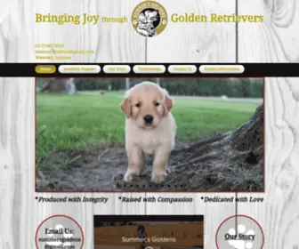 Summersgoldens.com(Golden Retriever Puppies for Sale) Screenshot