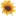 Sunflower-Design.de Favicon