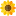 Sunfloweract.org Logo