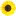 Sunflowerappalam.com Favicon