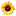 Sunflowerbakery.org Favicon