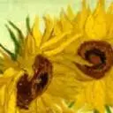 Sunflowercottage.co.za Favicon