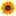 Sunflowereducation.net Favicon