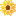 Sunflowerhealthplan.com Logo