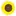 Sunflowerhomehealth.com Favicon