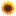 Sunflowerhwc.com Favicon