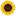 Sunflowerstateradio.com Logo