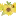 Sunflowersummerco.com Favicon