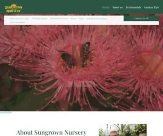 Sungrownnursery.com.au(Garden Centre Toowoomba) Screenshot