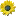 Sunject.com Favicon