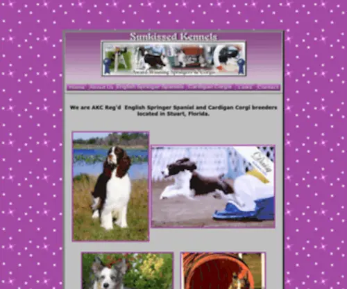 Sunkissedkennels.com(AKC Reg'd English Springer Spaniel and Cardigan Corgi breeders located in Stuart) Screenshot