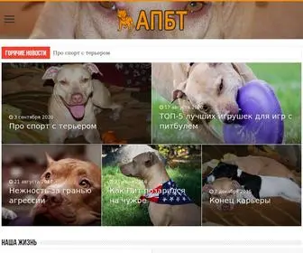 Sunny-Pitbull.com(Американский) Screenshot