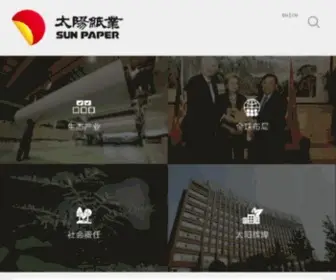 Sunpapergroup.com(太阳纸业) Screenshot