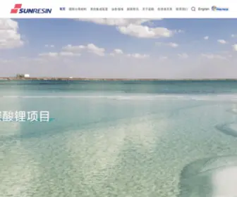 Sunresin.com(西安蓝晓科技新材料股份有限公司) Screenshot
