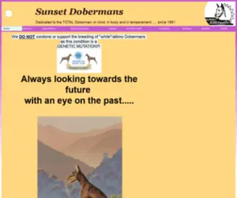 Sunsetdobe.com(Sunsetdobe) Screenshot