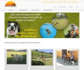 Sunsetresort.com.br(Hotel para cachorros) Screenshot