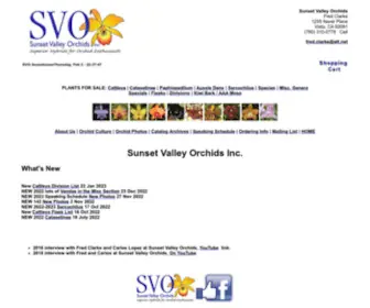 Sunsetvalleyorchids.com(Sunset Valley Orchids) Screenshot