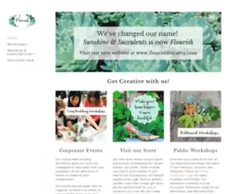 Sunshineandsucculents.com(Sunshine & Succulents) Screenshot