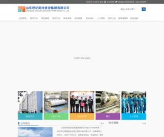 Sunshinepaper.com.cn(中国阳光纸业控股) Screenshot