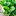 Sunssj.cn Favicon