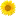 Sunstrums.ca Favicon