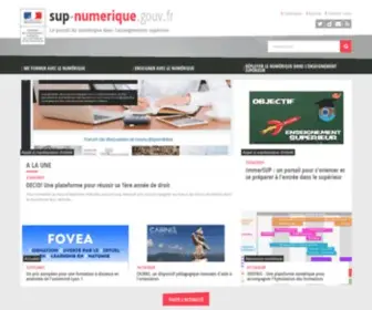 Sup-Numerique.gouv.fr(Le portail du numérique dans l'enseignement supérieur pour vous former) Screenshot