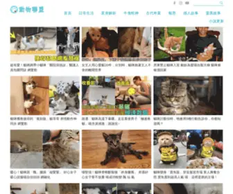 Super-Cutepet.com(動物聯盟) Screenshot