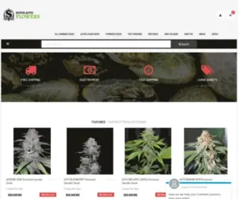 Superautoflowers.com(SUPER AutoFlowers Cannabis Seeds) Screenshot