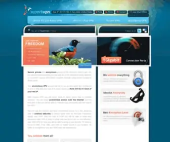 SuperbVPN.com(PPTP and SSL Open VPN Services) Screenshot