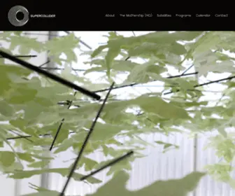 Supercolliderart.com(SUPERCOLLIDER) Screenshot
