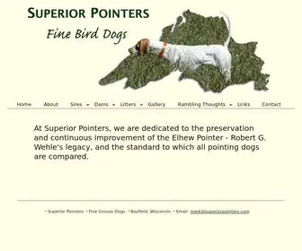 Superiorpointers.com(Elhew Pointers at Superior Pointers) Screenshot