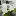 Superstring-Architecture.com Favicon