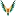 Supratikdas.com Favicon