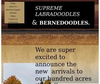 Supremelabradoodles.com(Supreme Labradoodles and Bernedoodles) Screenshot