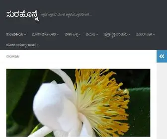 Surahonne.com(ಸುರಹೊನ್ನೆ) Screenshot