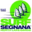 Surfsegnana.it Favicon